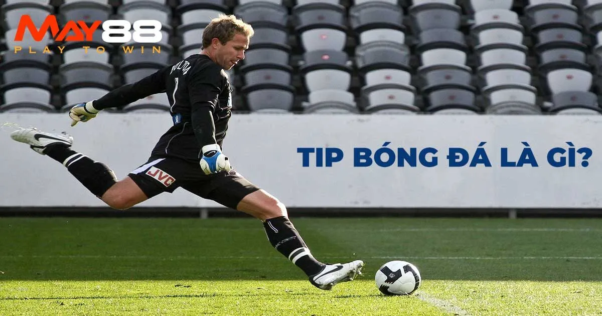 Tân binh đã biết tip bóng đá là gì?